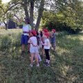 Projet biodiversité