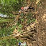 sortie nature 3 5 ans 2