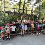 zoo de servion 6 8 ans 9